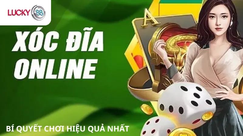 Chơi Xóc Đĩa Online Lucky88 Với  Tỷ Lệ Thắng Cao