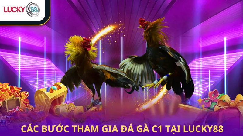 Các Bước Tham Gia Đá Gà C1 Lucky88