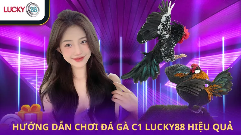 Chơi Đá Gà C1 Lucky88 Hiệu Quả