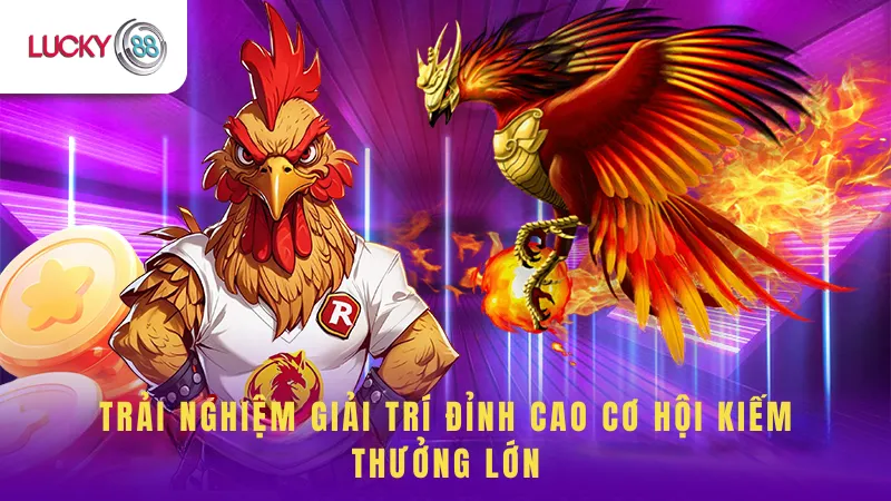 Cơ Hội Kiếm Thưởng Lớn Đá Gà Campuchia Lucky88