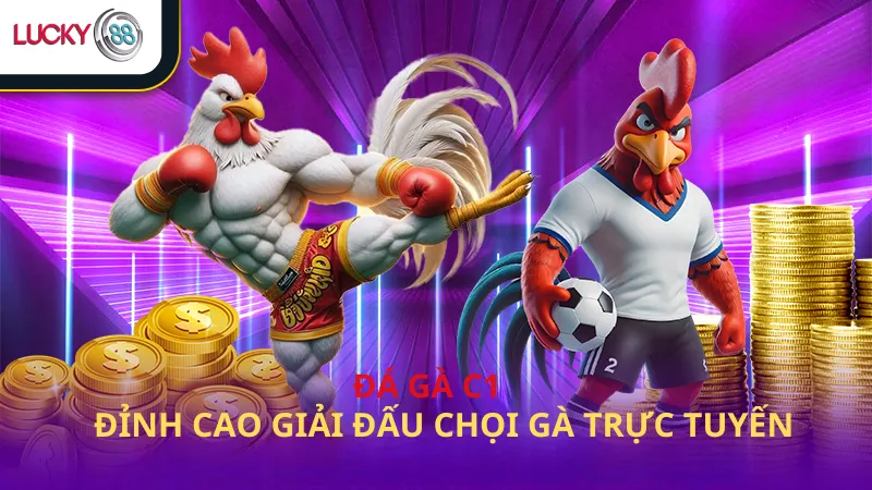 Đá Gà C1 Lucky88 Đỉnh Cao Giải Đấu Chọi Gà Trực Tuyến