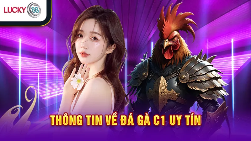 Đá gà C1 Lucky88  Uy Tín 