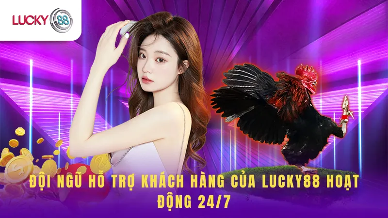 Đội Ngũ Hỗ Trợ 24/7 của Đá Gà Campuchia Lucky88