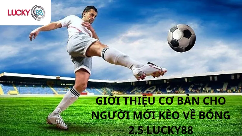 Giới Thiệu Về Bóng 2.5 Lucky88