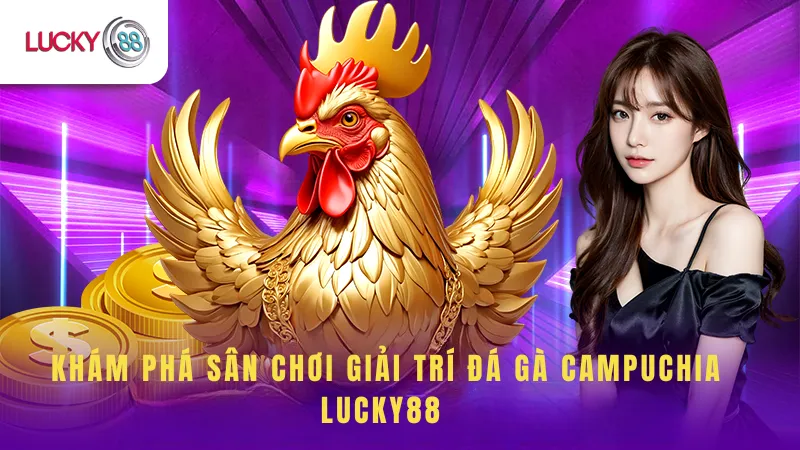 Khám Phá Sân Chơi Giải Trí Đá Gà Campuchia Lucky88 