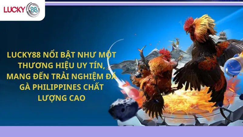 Lucky88 Mang ĐếnTrải Nghiệm Đá Gà Philippines Chất Lượng Cao