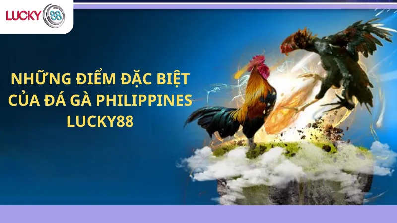 Những Điểm Đặc Biệt Của Đá Gà Philippines Lucky88